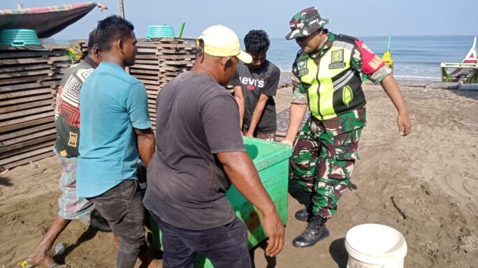 Selain Komsos, Babinsa Posramil Simpang Mamplam Juga Bantu Nelayan Angkat Hasil Tangkapan Ikan