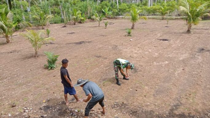Dongkrak Swasembada Pangan, Babinsa Koramil 10/Pandrah Bantu Petani Tanam Jagung