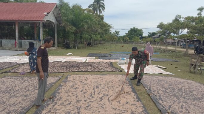 Babinsa Tuntaskan Tugas Sosial, Bantu Jemur Udang Ebi Sebagai Bahan Dasar Terasi