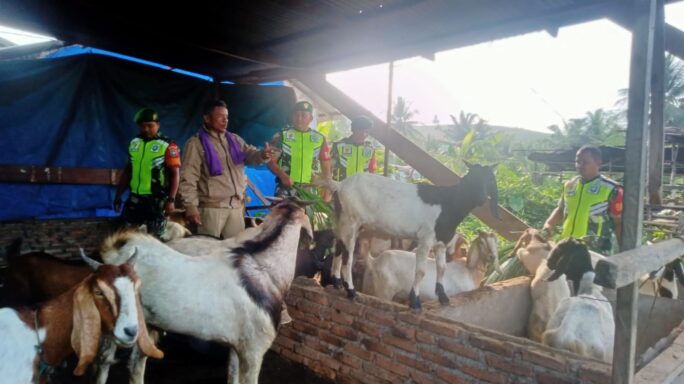 Babinsa Anjangsana Jalin Silaturahmi Bersama Warga Binaan Peternak Kambing