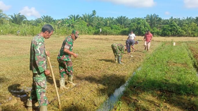 Sukseskan Program Pangdam Iskadar Muda I’M Jagong Koramil 01/Kula Laksanakan Tanam Jagung
