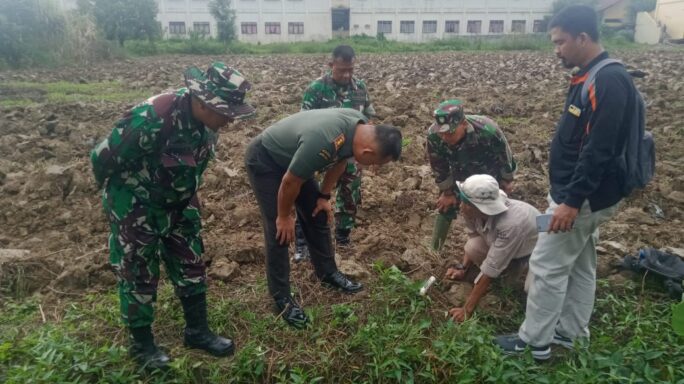 Program IM Jagong Tahap II, Dandim 0117/Aceh Tamiang Tinjau Langsung Lahan Jagung Koramil 08/Rantau