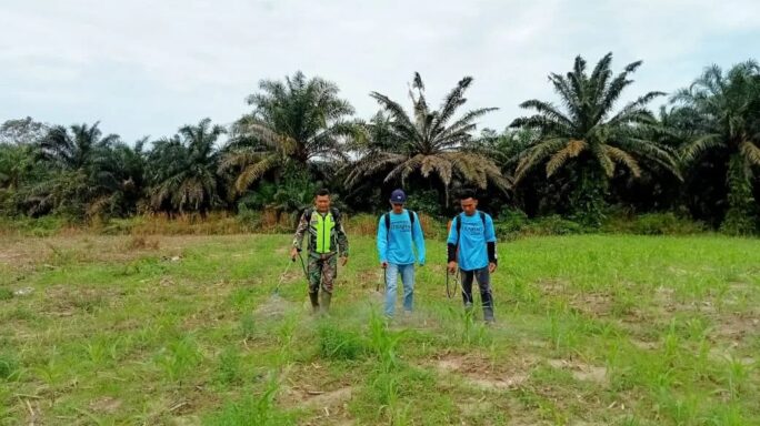 Babinsa Beri Pendampingan Kepada Petani Jagung Dengan Ikut Membantu