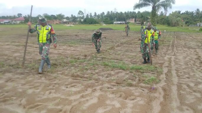 Dandim Tinjau Lahan Jagung 3 Koramil Sebagai Upaya Strategis Untuk Meningkatkan Produksi Jagung Di Wilayah