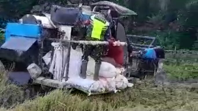 Babinsa Dan Petani Panen Padi Gunakan Mesin wheat harvest