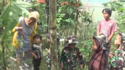 360e01ce-0bb9-4a34-bf88-dd65f2ea2ea4