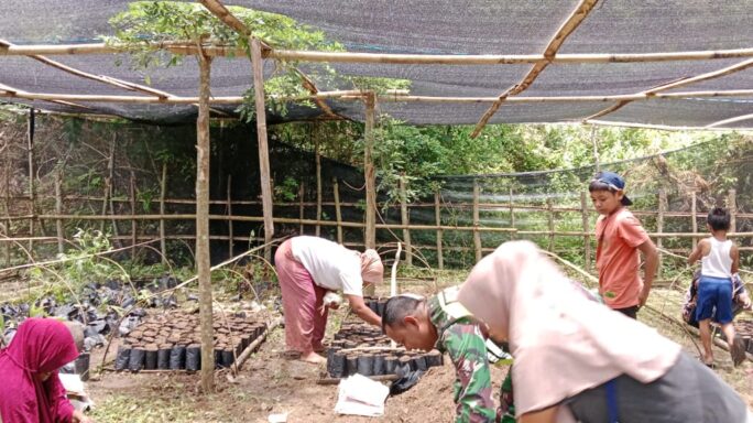 Bentuk Kepedulian Aparat Kewilayahan, Babinsa Bantu Warga Menyiapkan Pembibitan Kopi