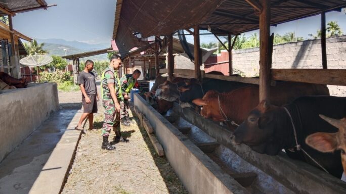 Sambangi Peternak Sapi,Babinsa Ingatkan Kebersihan Kandang