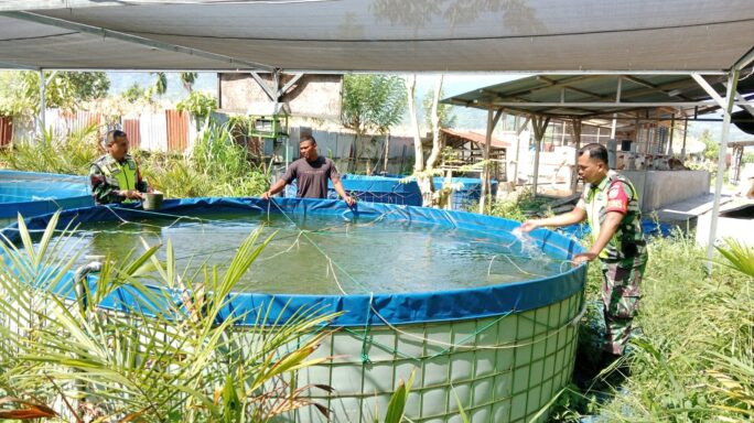 Babinsa Anjangsana Ke Warga Desa Binaan Peternak Ikan Lele