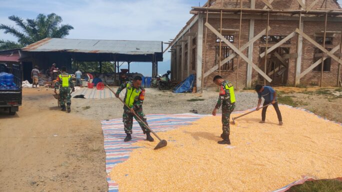 Babinsa Bantu Jemur Jagung Warga Binaan