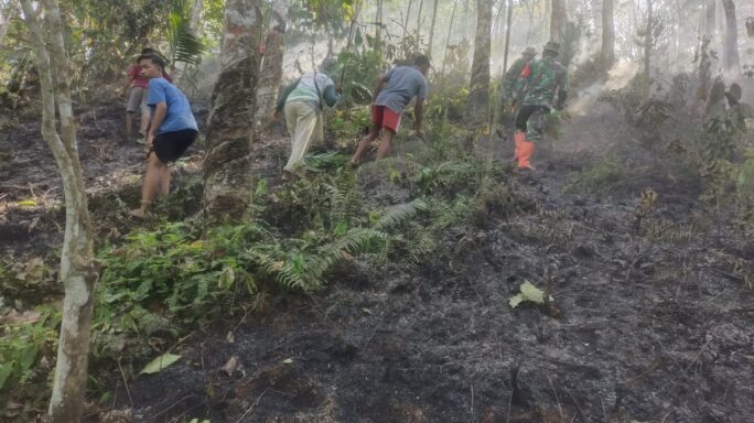 Babinsa Bersama Warga Masyarakat Padamkan Kebakaran Lahan Pohon Karet