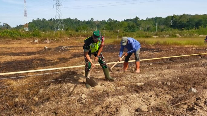 Perkuat Ketahanan Pangan, Babinsa Dampingi Warga Siapkan Lahan Pertanian