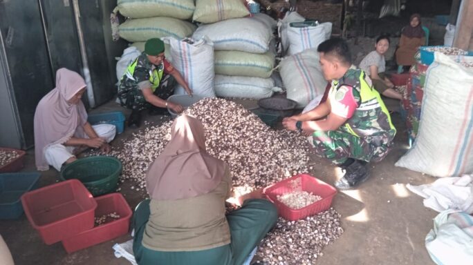 Manfaatkan Potensi Daerah Babinsa Sambangi Warga Desa Binaan Pengepul Kemiri