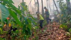 IMG-20240217-WA0032