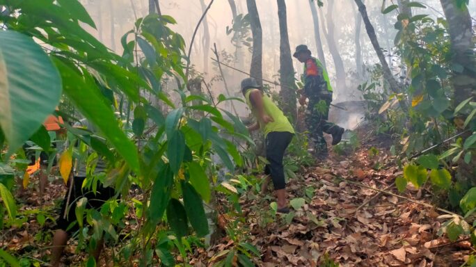 Babinsa Bersama Warga Terus Berjibaku Padamkan Lahan Kebun Karet Yang Terbakar