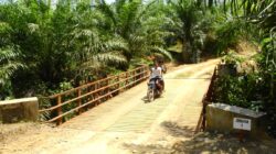 IMG-20240225-WA0026