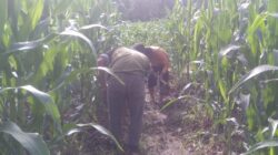 IMG-20240227-WA0056