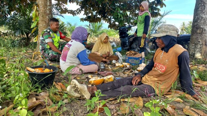 Babinsa Komsos Bersama Petani Di Kebun Jagung