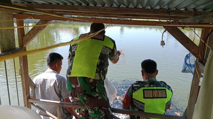 Sambangi Pembudidaya Ikan Mas Babinsa Jalin Komsos