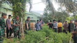 f3f86889-d52a-46c6-9dc4-811dcc084416