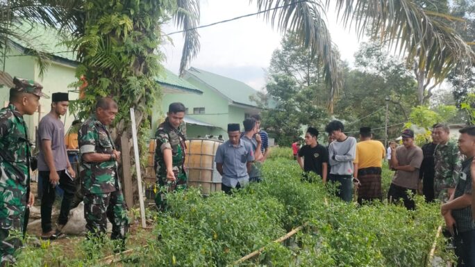 Dandim 0116/Nagan Raya bersama Peserta Diklat Cek Tanaman Hasil Pupuk KP2MN