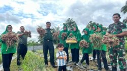 kodim_0116_naganraya_1708512772170