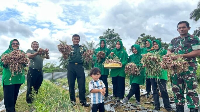 Dandim 0106/Nagan Raya Dampingi Ketua Persit Kartika Cab XL Panen Bawang dan Cabe di Makodim