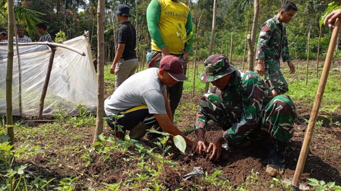 Program Unggulan Kasad, Satgas TMMD ke-119 Kodim 0102/Pidie Tanam 300 Bibit Pohon Di Kebun Warga
