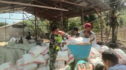 IMG-20240307-WA0038