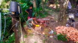 IMG-20240313-WA0007