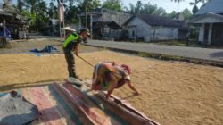IMG-20240313-WA0037