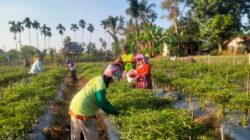IMG-20240316-WA0044