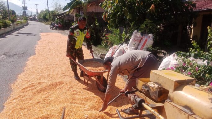 Jaga Silaturahmi Babinsa Bantu Jemur Jagung Warga Binaan