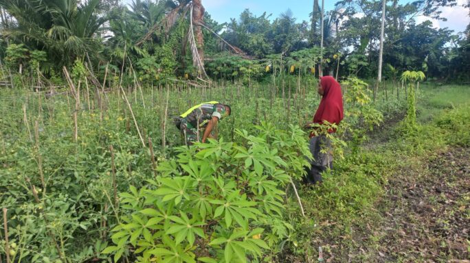 Babinsa Grong-grong Laksanakan Pendamping Petani Meski di Bulan Ramadan