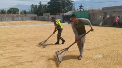 88fdd36e-7020-4279-8b6c-dfba7cdfa2ab