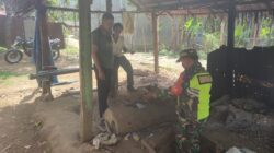 9381ade0-8e08-4496-b8f1-071649020427