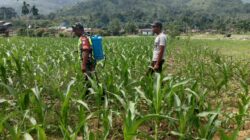 cfdf5fe8-e081-4dbf-9793-996fa5c98333