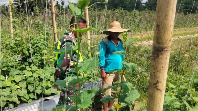 Peduli Lingkungan, Babinsa Bersama Warga Gotong Royong Bersihkan Rumput Kanan Kiri Jalan