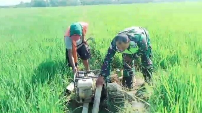 Serda Sugianto Dampingi Petani Mengairi Lahan Persawahan