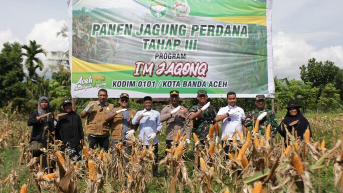 Pgs. Pasiter Pimpin Panen Perdana Jagung Program I’M Jagong Tahap III di Ingin Jaya