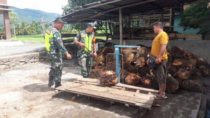 Monitor Perkembangan Harga Sawit, Babinsa Anjangsana Dengan Pengepul Kelapa Sawit.