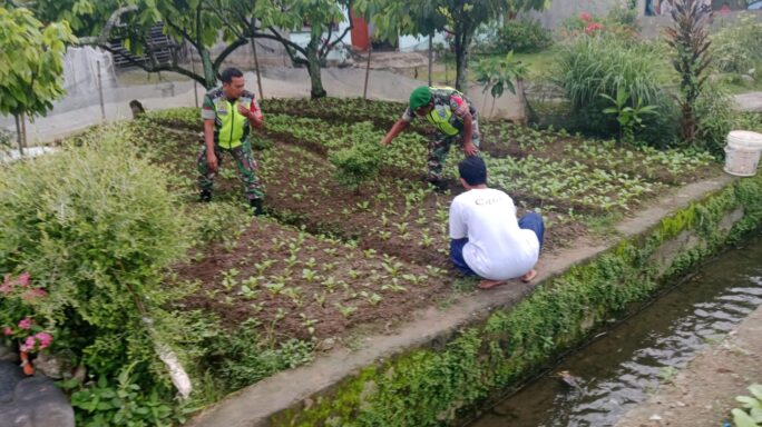 Tingkatkan Ekonomi Masyarakat, Babinsa Dampingi Petani Bantu Warga Binaan Tanam Sawi.