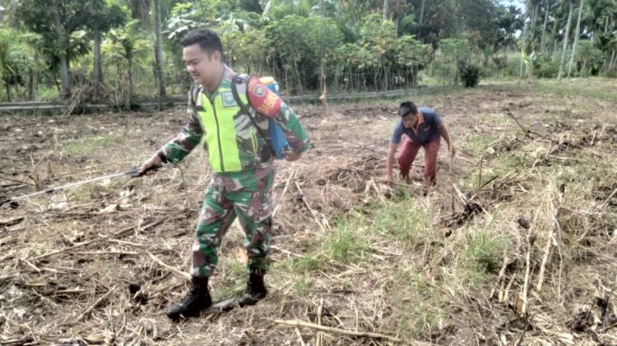 Ringankan Baban Warga Binaan Babinsa Bantu Petani Lahan Jagung