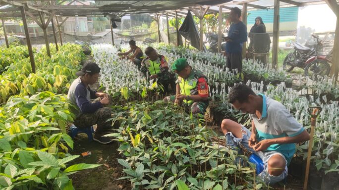 Babinsa Anjangsana Dengan Kelompok Tani Pembibitan Kakao di Desa Binaan