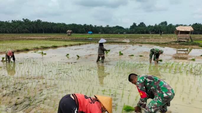 Pendampingan Pertanian oleh Koptu Nunung Tingkatkan Semangat Para Petani di Rantau Selamat