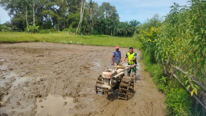 Aksi Babinsa Koramil 07/Johan Pahlawan Bantu Petani Bajak Sawah