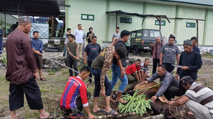 Kodim 0119/BM Sembelih Empat Ekor Hewan Qurban.