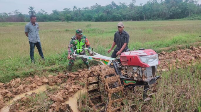 Babinsa Koramil 07/Kejuruan Mudah Bantu Petani Bajak Sawah Dengan Traktor