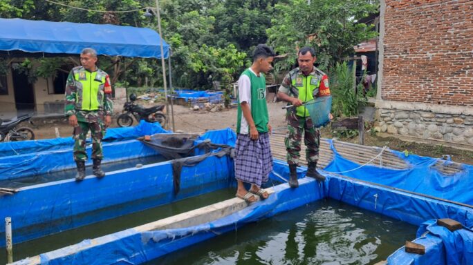 Babinsa Komsos Dengan Peternak Ikan Lele Di Desa Binaan