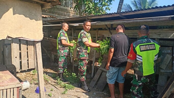 Tingkatkan Potensi Wilayah Babinsa Dampingi Peternak Kambing